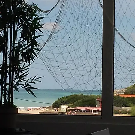 Swanara Pays Basque *